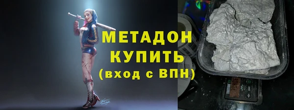 индика Алексин