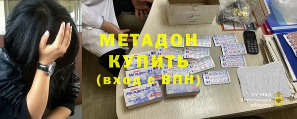 индика Алексин