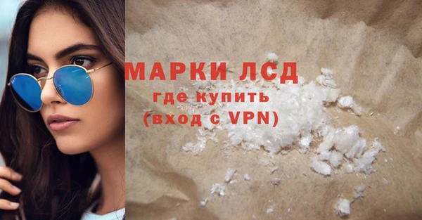 индика Алексин