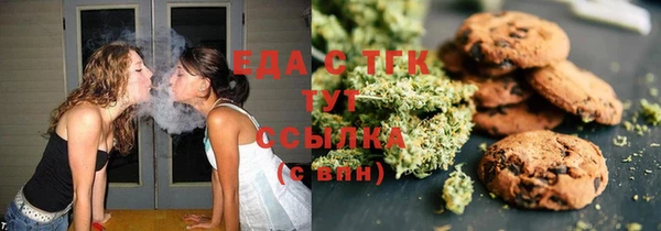 индика Алексин