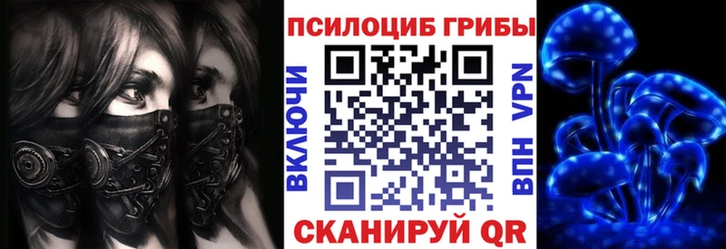Псилоцибиновые грибы Psilocybine cubensis Татарск